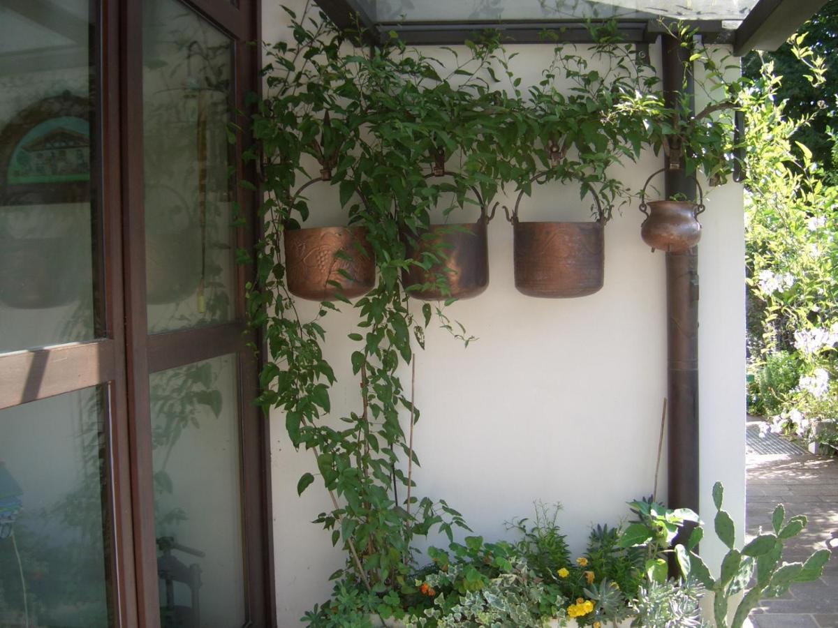 B&B Scaccia Pensieri Tarcento Exterior foto
